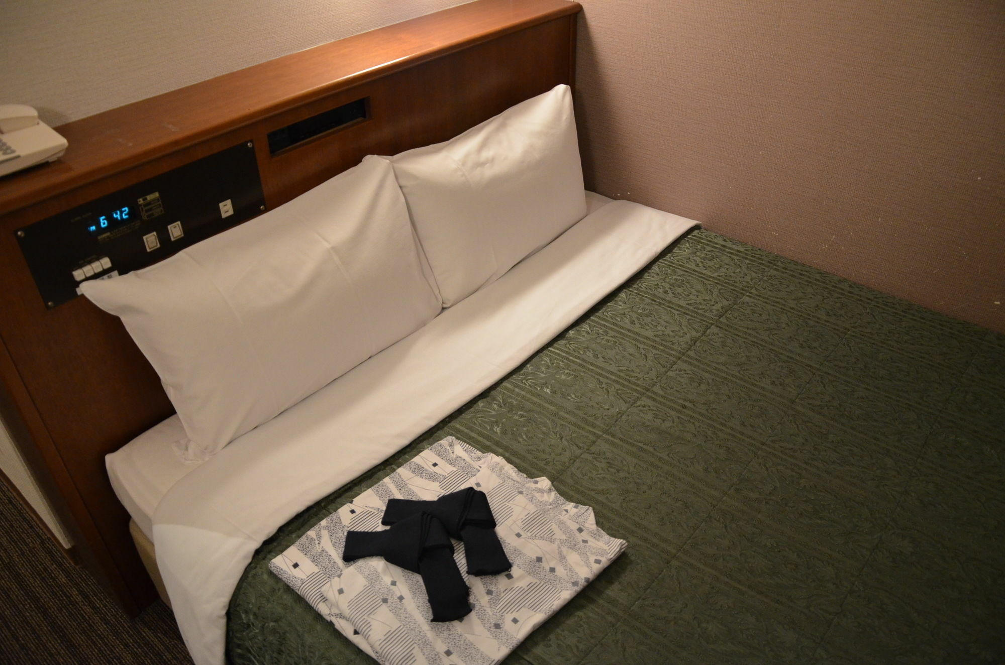 Hikone Biwako Hotel Exterior photo